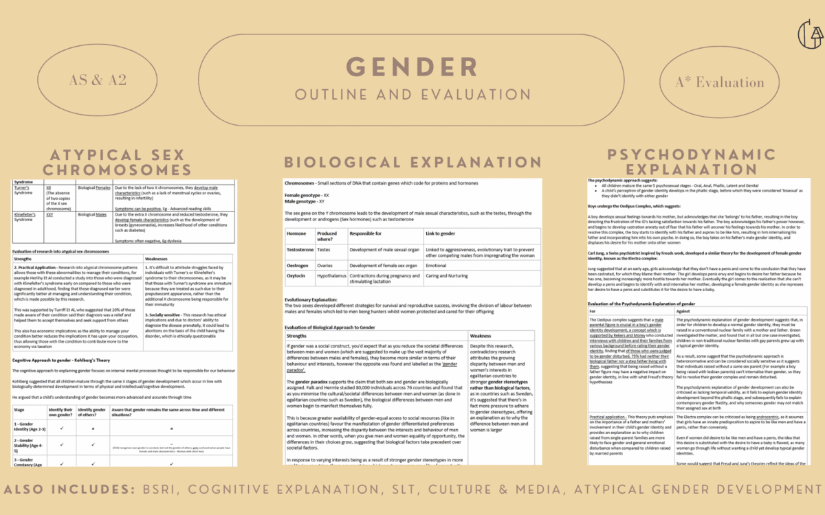 P3 - Gender Notes + 16/16 Model Essays
