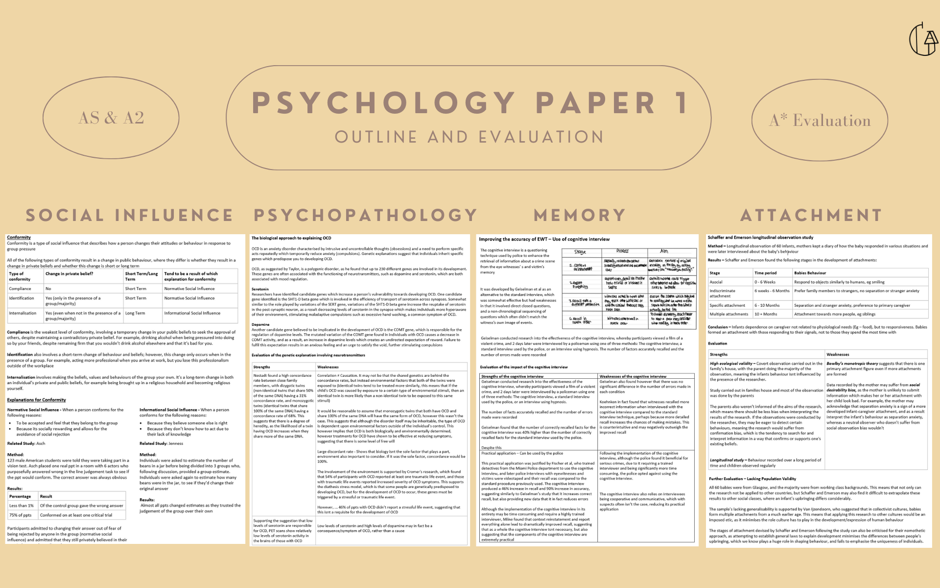 Paper 1 - Outline & Evaluate Notes