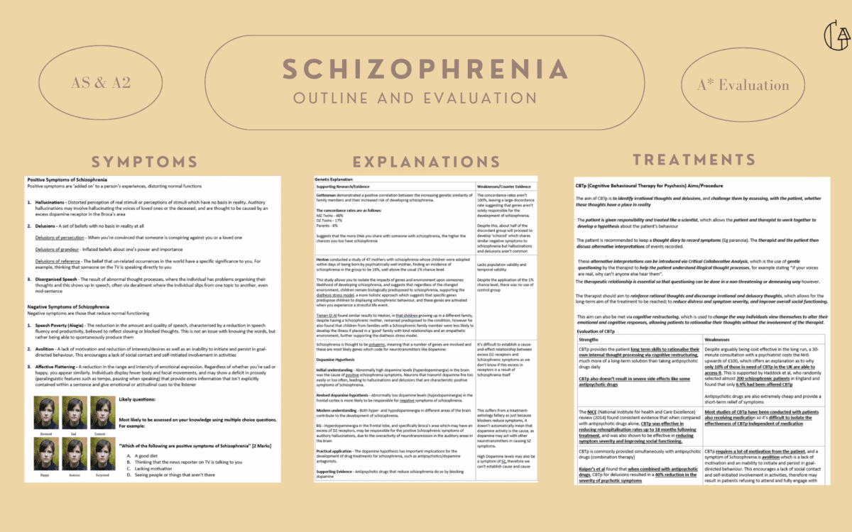 P3 - Schizophrenia Notes + 16/16 Model Essays